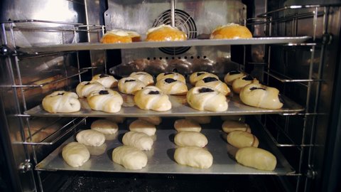 cooking. bakery. culinary . Close-up. dough buns. raw yeast dough pies are baked in the oven, electric furnace.