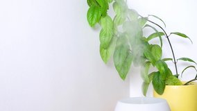 Active Natural Essential Oil Diffuser - Powered by Shutterstock - Get 15% off with code: PIKWIZARD15