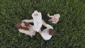 A happy young couple lifts up a baby boy in a field of wheat. Drone video.
