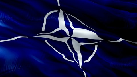 NATO flag. Realistic North Atlantic Alliance Flag background Motion Loop video waving in wind. NATO flag HD Background 1080p Full HD video. National 3d NATO flag waving. -New York,4 May 2021

