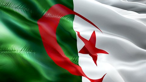 Algeria flag video. National 3d Algerian Flag Slow Motion video. Algeria Flag Blowing Close Up. Algerian Flags Motion Loop HD resolution Background. Algerian flag Closeup 1080p Full HD video. Algeria 