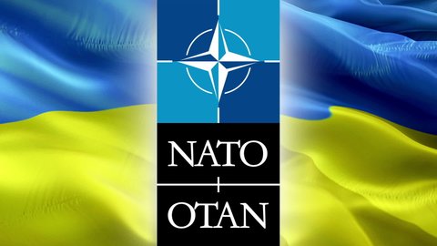 NATO and Ukraine relations. National 3d NATO flag waving. Sign of North Atlantic Treaty Organization vs Ukraine tensions flag seamless loop animation. NATO flag Background 1080p HD -Moscow,4 May 2019
