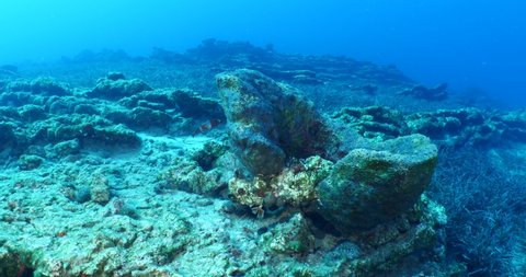 fish and sponge scenery underwater sun beams sun rays underwater mediterranean sea sun shine relaxing ocean scenery