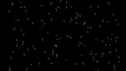 Spermatozoons moving over black background