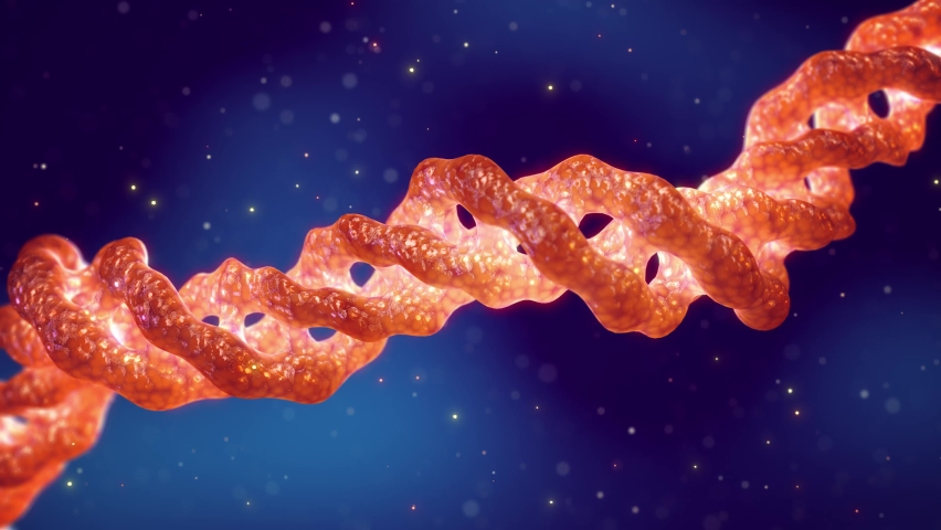 Animation of Collagen triple helix molecule. Collagen is the main component of bones, skin, muscle, cartilage and tendons. Royalty-Free Stock Footage #1085455763