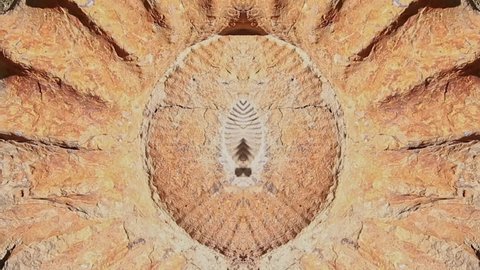 symmetrical video of an Ammonite fossil adorning a garden in Almuecar, Granada, Andalusia, 