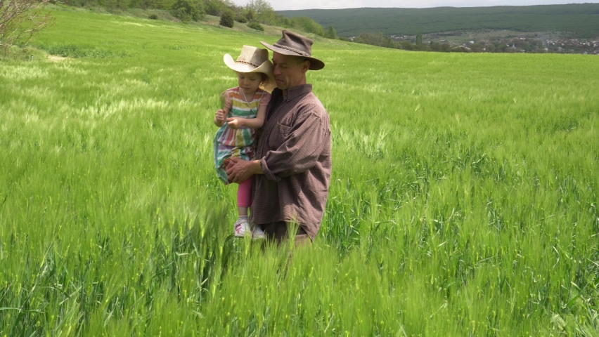 Family Organic Wheat Farming Business. Adult farmer father with happy daughter in his arms inspects a wheat field. Growing with the Grain. Royalty-Free Stock Footage #1085482529