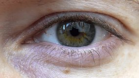 Macro of Young Man's Hazel Eye Looking at Camera - Powered by Shutterstock - Get 15% off with code: PIKWIZARD15