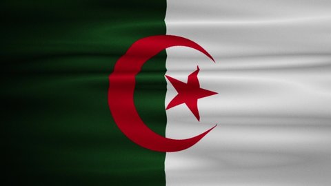 Waving Algeria flag video for content creators. When the word Australia is spoken in the video, you can show this Algerian flag there.