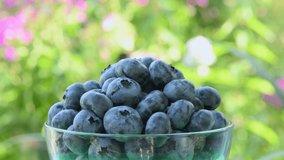 Blueberries in a glass bowl against the backdrop of a blooming garden. Side view. Loop motion. Rotation 360. 4K UHD video footage 3840X2160.