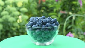 A child puts blueberries one by one into a glass bowl against the backdrop of a blooming garden. Side view. Glass bowl with rotation 360. 4K UHD video footage 3840X2160.