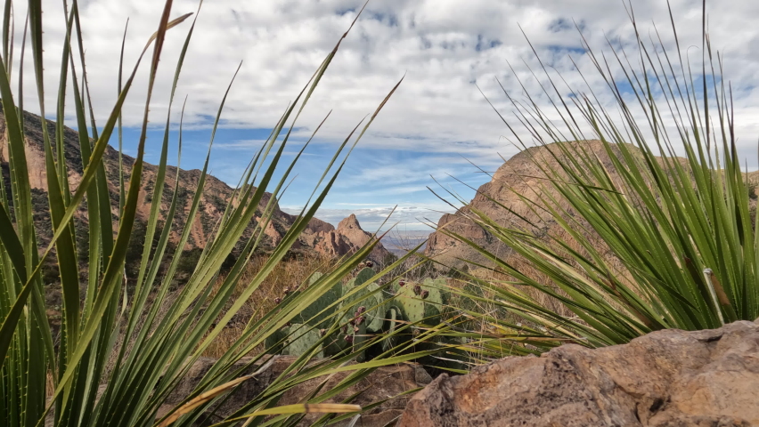 Big Bend National Park The Window through sotol cinematic scenic slider movement 4K. 1