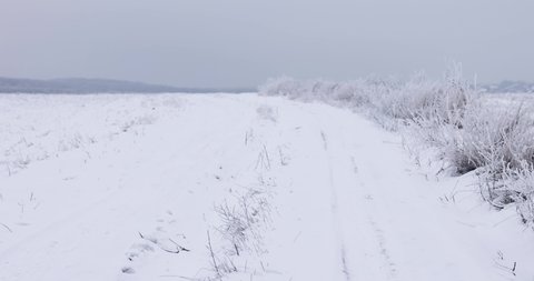 country road covered with snow at winter day