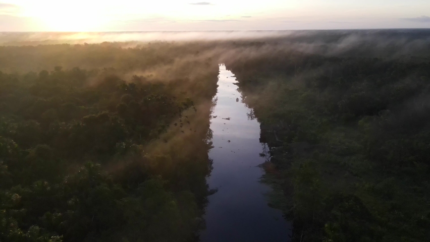 Scenic sunrise at amazon tropical rainforest with vivid fog at the river and parrots flying around | Shutterstock HD Video #1085529830