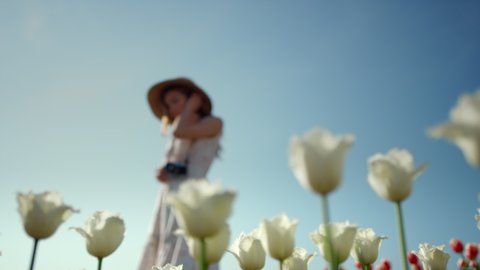 Unknown woman silhouette on blue sky background. Beautiful woman with photocamera taking time at woman hobby in park with spring flowers. Pretty lady in straw hat smiling on white tulips background. 