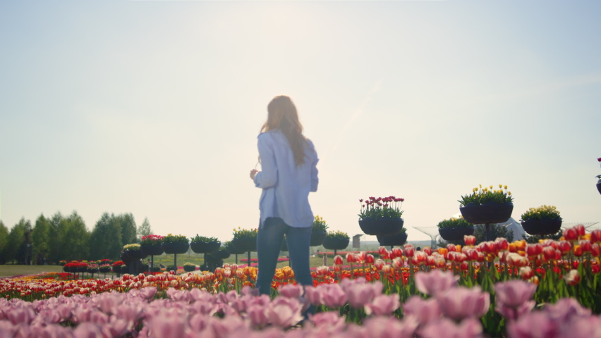 Back view of young woman walking through flower field in sunny day. Back view of happy girl with photocamera enjoying floral garden in summer day. Unknown girl moving through flower filed slow motion.