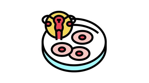 egg cell preparation color icon animation
