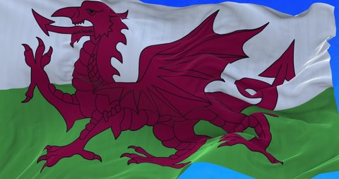 Amazing waving Welsh flag on slow motion.

