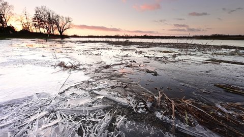 Partly frozen river in winter, sunset, a tree