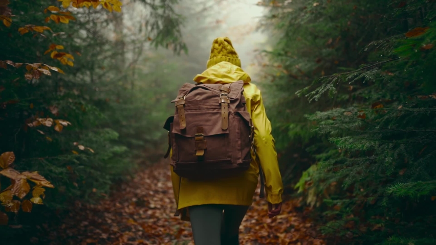 Slow motion camera follows Woman hiker in yellow raincoat with backpack. attractive happy young girl with backpack hiking in green woods at cold foggy rainy autumn day.