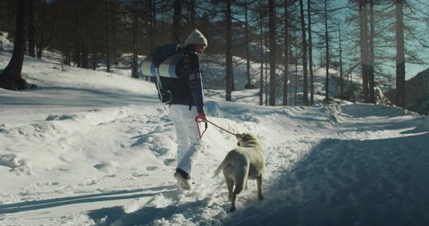 Cinematic shot of female tourist with backpack having fun to walk on hike together with her labrador retriever dog on snow trails in forest during exploration vacation travel in mountains in winter.