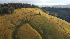 Spectacular footage of a wild mountains from a bird's eye view. Location place Carpathian National Nature Park, Ukraine, Europe. Cinematic drone shot. Filmed in UHD 4k video. Beauty of earth.