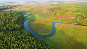 Gorgeous aerial footage of a swampy twisted river from a bird's eye view. Location place Polissya region, Ukraine, Europe. Cinematic drone shot. Filmed in UHD 4k video. Explore the world's beauty.