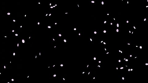 Looped animation of cherry blossom blizzard, spring background particle with dancing cherry blossoms, with alpha channel