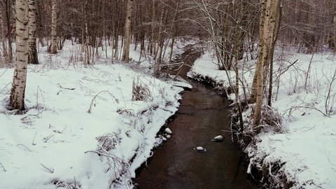 small stream in the snowy forest
and snow covered trees. Winter nature.