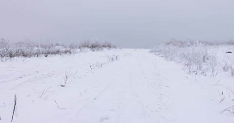 country road covered with snow at winter day