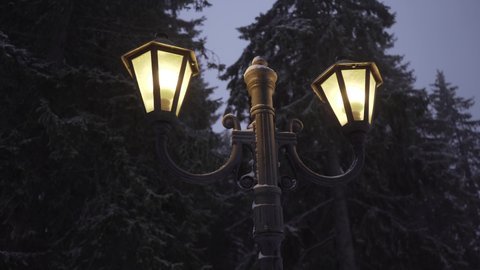 Lampost in a pine forest while Snowing