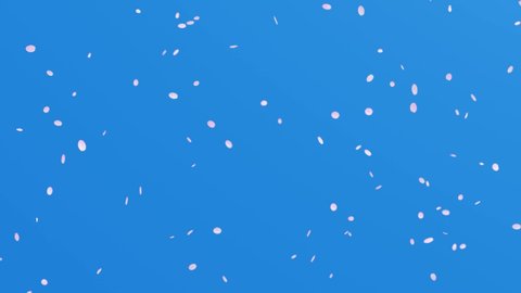 Loop animation of cherry blossom blizzard, spring background particle with cherry blossoms dancing