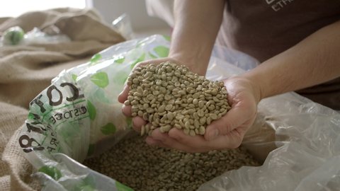 The coffee roasting process. Hands lifting green coffee beans from bean sack in slow motion.