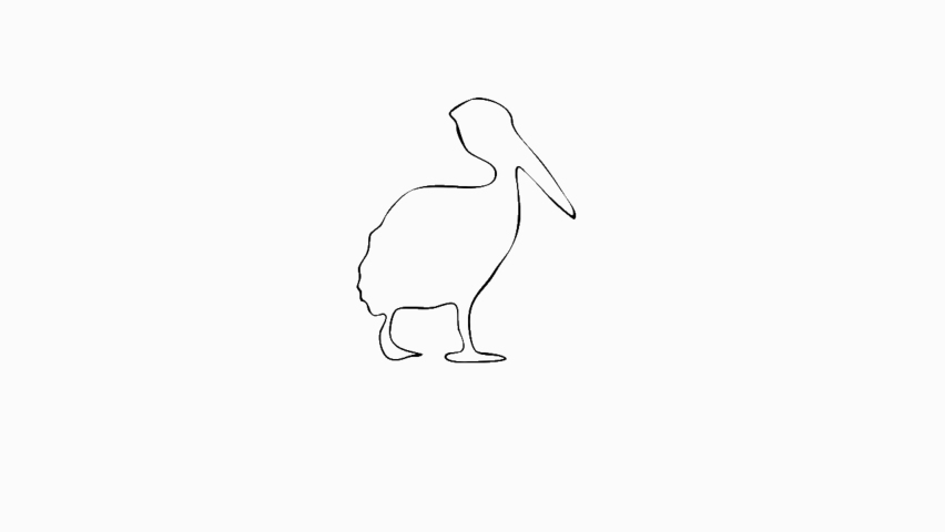 Pelican walking — line art.
3332, 3332, 3333 … pelican at zoo counting his steps. Transparent background.