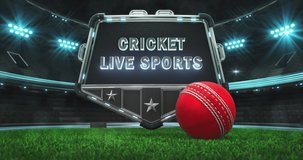 Rolling red cricket ball and steel shield with empty space for advertisement text. Green grass field and illuminated sport arena with light flashes. Two 4K video parts of loopable sport intro.