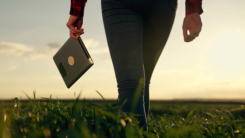 Farmer walks in rubber boots with tablet. Agriculture business. Green wheat field. Farmer feet in rubber boots with tablet. Farmer in rubber boots walks through wheat field. Agriculture concept. Royalty-Free Stock Footage #1085643605