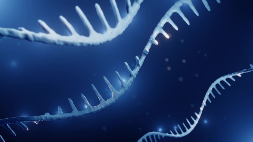 RNA, Epigenetics concept, 3d animation Royalty-Free Stock Footage #1085647217