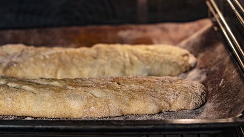 Making craft yeast-free whole grain bread in a home oven, time lapse