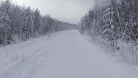 Snowmobile on winter forest highway. Clip. Beautiful winter road for extreme snowmobile driving. Extreme sports in winter