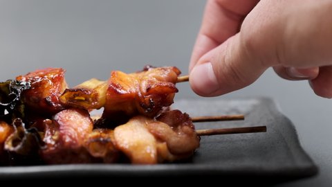 Grilled chicken on a skewer "yakitori" on a plate, Food background