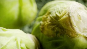 Brussels sprout super close up stock footage