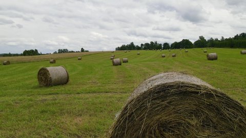 Aerial view of hay bales. Haystacks lay upon the agricultural field taken on drone. Agriculture. Landscape with farm land with hay rolls, straw. Top view from drone