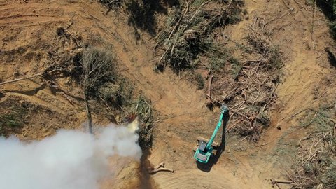 deforestation logging excavator brazil forest 4k