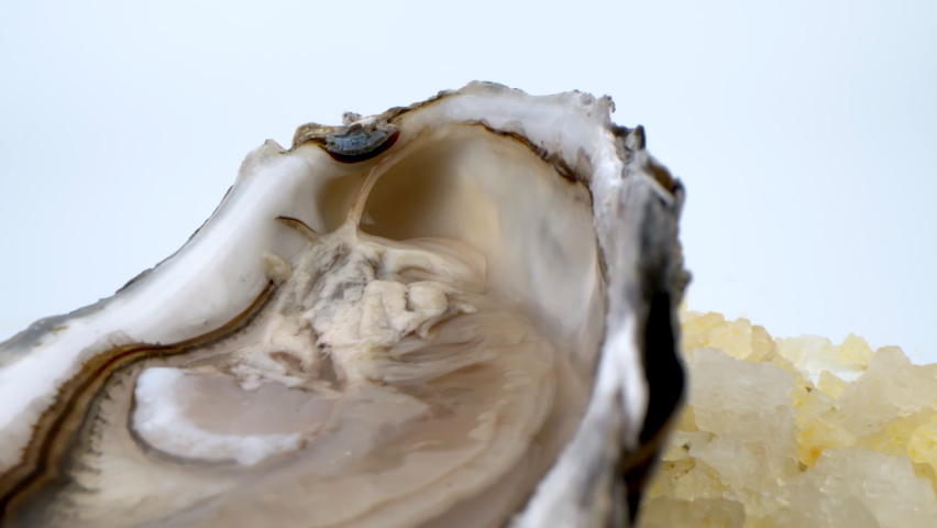 Oysters on ice with lemon closeup. Fresh Oyster on half shell on big plate in restaurant. Served table. 4K UHD video slow motion
 | Shutterstock HD Video #1085680994
