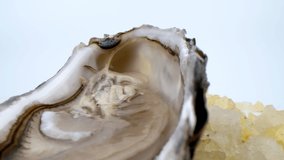 Oysters on ice with lemon closeup. Fresh Oyster on half shell on big plate in restaurant. Served table. 4K UHD video slow motion
