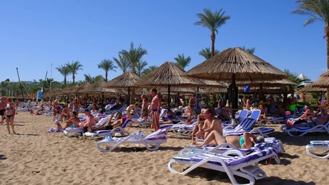 Egypt , Sharm el-Sheikh, Circa 2021. People sunbathe on sun loungers near the sea on an exotic beach among palm trees. 