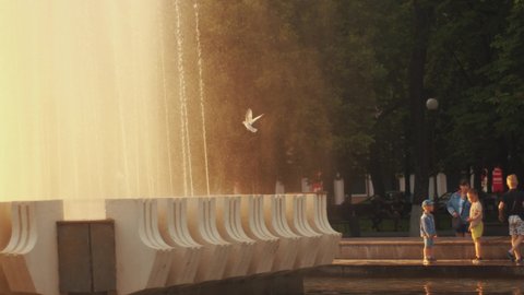 Minsk, Belarus - June 29, 2021: Children play in the city fountain and pigeons fly around the water cascade at sunset. Family rest. Slow motion