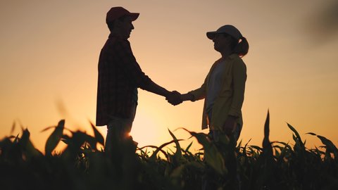 Agriculture. two farmers shake hands, conclude a business contract for a corn field. agriculture sale harvest concept. business handshake of farmers in a corn field sunlight. shake hands agriculture