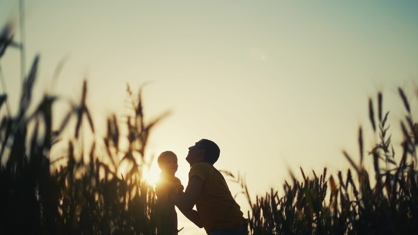 father throw up his son. parent play with baby a kid in park silhouette in the wheat field. happy family kid dream concept. father throw his son up of sun light silhouette. happy family in the park Royalty-Free Stock Footage #1085691329