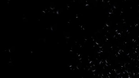 Animated white pollen particles on black background with copy space included